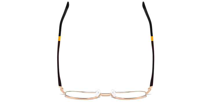 falcon-gold-aviator-eyeglasses-4