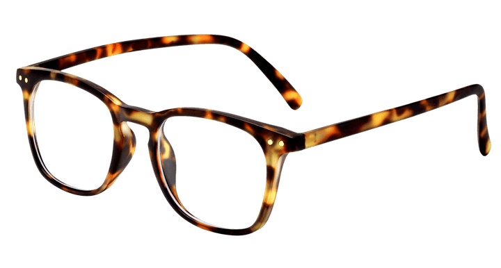 cruise-tortoise-square-eyeglasses-2