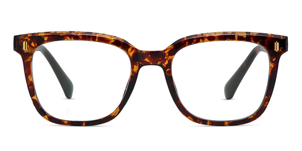 denis-tortoise-square-eyeglasses-1