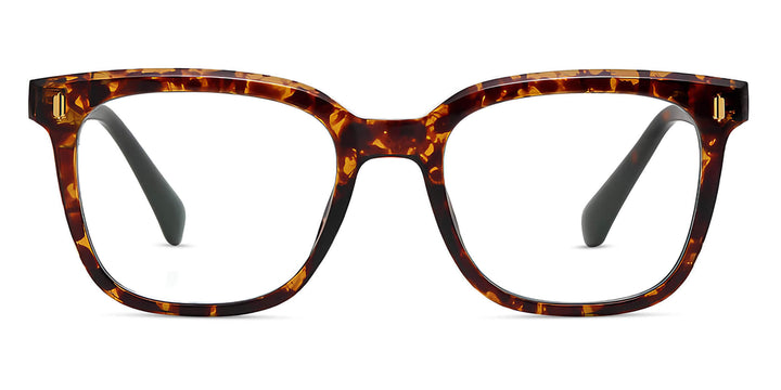 denis-tortoise-square-eyeglasses-1