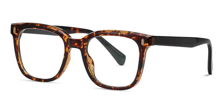 denis-tortoise-square-eyeglasses-2