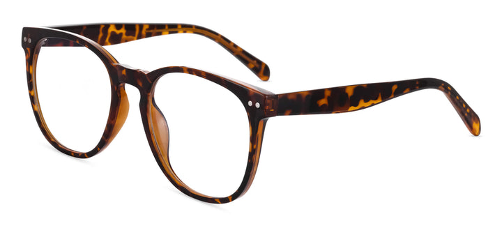 siner-tortoise-square-eyeglasses-2