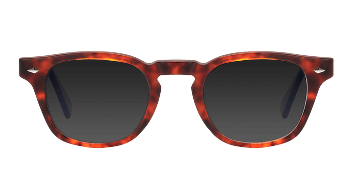 berman-tortoise-square-sunglasses-1