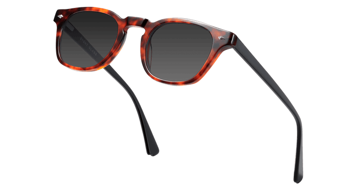 berman-tortoise-square-sunglasses-4