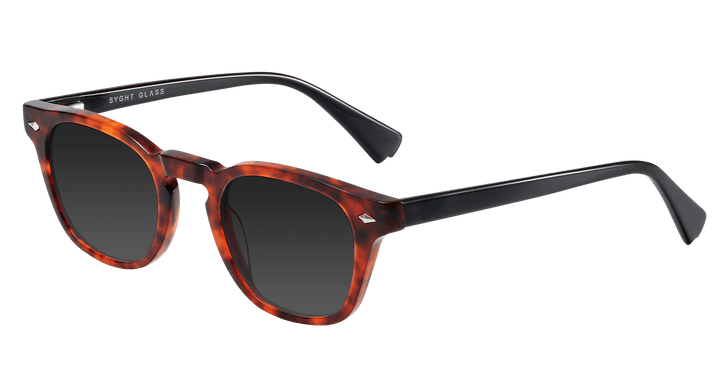 berman-tortoise-square-sunglasses-2