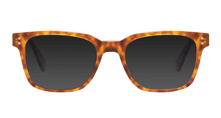 dalton-tortoise-rectangle-sunglasses-1