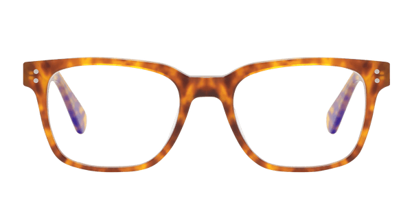 dalton-tortoise-rectangle-eyeglasses-1