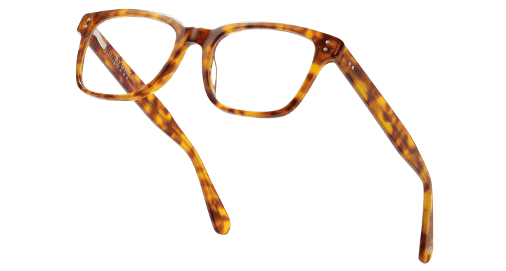 dalton-tortoise-rectangle-eyeglasses-4