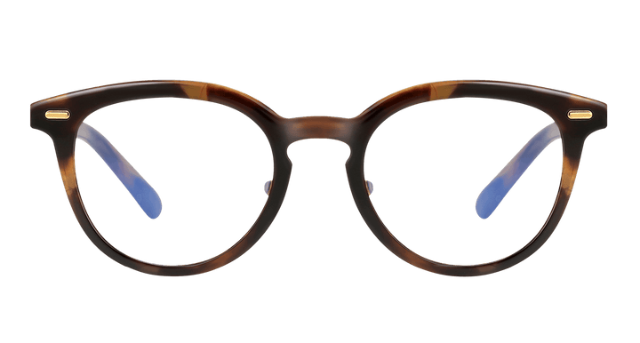 storm-tortoise-oval-eyeglasses-1