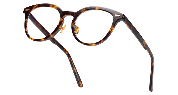 storm-tortoise-oval-eyeglasses-4